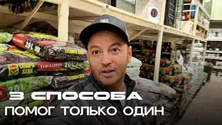 Мою квартиру в Испании оккупировали мыши 