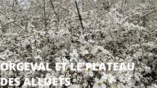 ORGEVAL ET LE PLATEAU DES ALLUETS