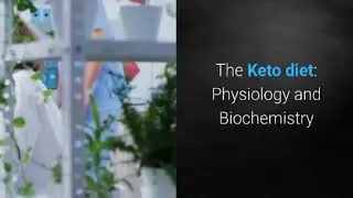 The keto diet: Physiology and Biochemistry