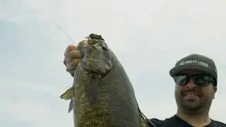 Meet the Great Lakes Finesse Ned Bug Head