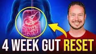 How to FIX Your Gut in Under 4 Weeks!