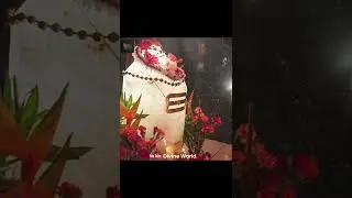 kauai island shiva temple | दुनिया का सबसे पवित्र शिवलिंग | iraivan temple kauai hawaii #shorts