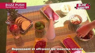 Répulsif à insectes volants BUZZ PUSH de Bloq'Insectes : profitez de vos repas sans les nuisances !