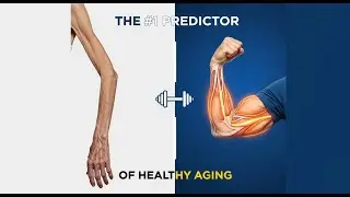 A Geriatrician Explains the Most Overlooked Predictor of a Long Healthspan