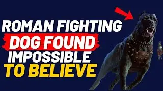 РАСКРЫТО! Тайна CANIS PUGNAX: боевого пса, спасшего Рим от разрушения! (ДОКУМЕНТАЛЬНЫЙ ФИЛЬМ)