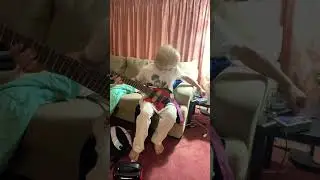 Electro Harmonix Voicebox plugged into itself