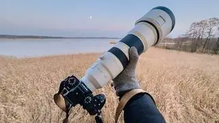 Rekordowy teleobiektyw do fotografii ptak&oacute;w: Sony FE 400-800 mm