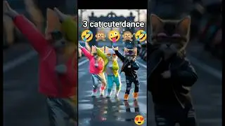 Three Stylish Cats Dancing on Rain Road 😻✨ | Viral Cat Dance 🐾💃 dudi dudi dum 😻#catdance #shorts