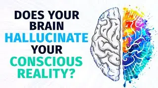 Does Your Brain Hallucinate Your Conscious Reality?