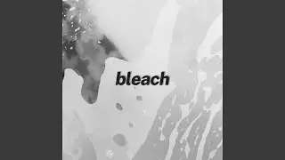 Bleach