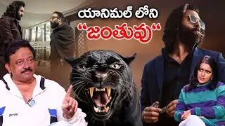 Animal లోని జంతువు || Sandeep Reddy Vanga || Ranbir Kapoor || Prabhas || Spirit || RGV || Swapna