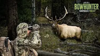 Dan and Brian's Western Hunting Application Strategy | Life of A Bowhunter Podcast