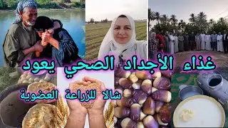  شالا للزراعة العضوية أول مزرعة عضوية بالعراق غذاء الأجداد الصحي يعود بعيد عن سموم الأسمدة والمبيدات