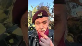 26 января 2026 г.