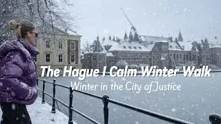 Snowy The Hague ❄️ I Cinematic Winter Walk I Relaxing City Ambience