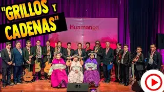 🔴 Estudiantina Típica Ayacucho 🇵🇪 | Grillos y Cadenas 🎶 Huayno from Peru