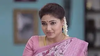 Nala Damayanthi - Full Ep - 172 - Damayanthi, Nalan - Zee Tamil