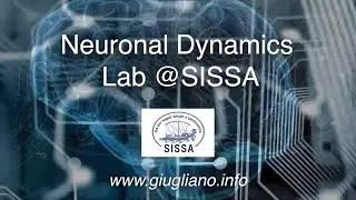 Neuronal Dynamics Lab