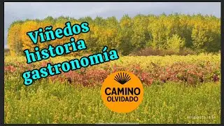 19&deg; Camino Santiago Olvidado | Parte 1: Congosto a Cacabelos.