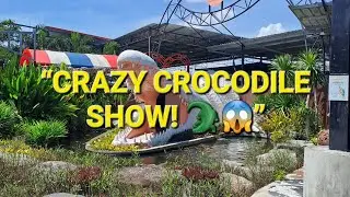 INSANE Crocodile Show in Phuket 🐊 | Thailand Travel Vlog