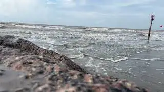 Relax at the Gulf Coast | Reggae Vibes