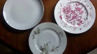 Plate Size and Overeating