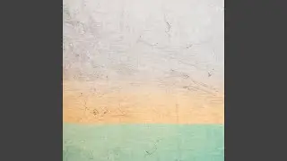Focus Challenge