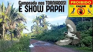 🌳Campeada nos Torniados🌾 Essa foi SHOW 🔥 