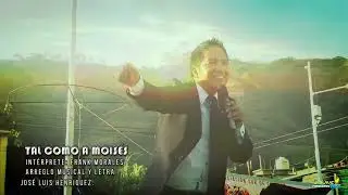 TAL COMO A MOIS&Eacute;S