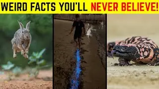 20 Strange Facts You Won&rsquo;t Believe Are Actually 100% True