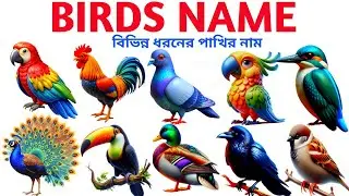 Birds Name |বিভিন্ন পাখির নাম | Birde Name in english to bangla | Birds Name for kids | kids class