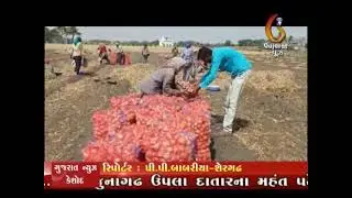 dungalina bhav n malat kheduto pareshani maliya
