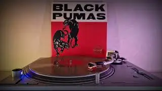Black Pumas - Colours - 2019 (4K/HQ)
