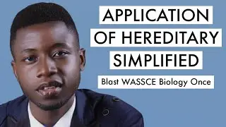 WAEC Biology Tutorial Questions & Answer 2026 On Hereditary Application (Top 15)