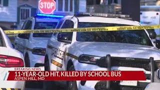 Young girl dies after collision with school bus in Aspen Hill