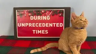 Larimer Humane Society 2020 Holiday Greeting