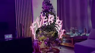 Everr - Velcro ( Visual ) 