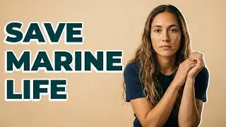 Why Is Protecting Nesting Beaches Important?