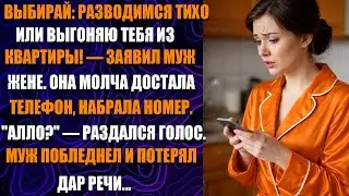 Он поставил ультиматум о разводе — один её звонок лишил его дара речи