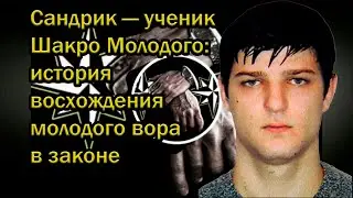Сандрик &mdash; ученик Шакро Молодого: история восхождения молодого вора в законе