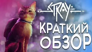 КРАТКИЙ-ОБЗОР STRAY. ШЕДЕВР ЛИ И ЗА ЧТО ЕЕ ТАК РЕЗКО ПОЛЮБИЛИ.