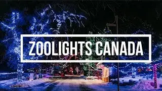 CALGARY ZOOLIGHT