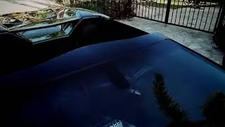 Lambo ave tarot in Irvine cove