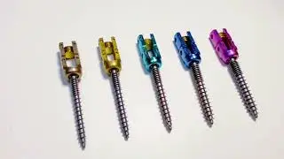5.5 Polyaxial Reduction Screw