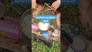 boiled noodles and egg#cooking #camp #nature #campcooking @awancamping