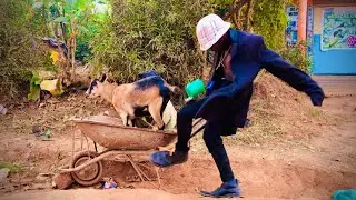 Gravity Omutujju Ft Mzee Jjemba - Tusimbudde ( UGAdance Kids Africa ) Ba bad boys 😂
