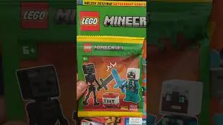 Building Wither Skeleton & Ender Explorer LEGO Minecraft set #lego #legoasmr #minecraft