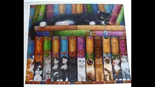 updated view of Spangler cat bookshelf/with kitty names included