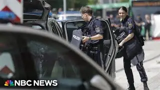 Austrian school shooter was 21-year-old lone gunman from the area