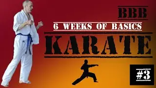Kyokushin Karate Basics Lockdown Training day 3